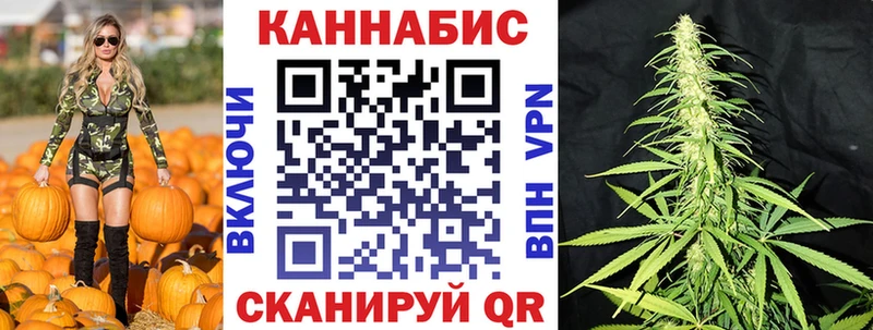Купить закладку АМФ  Каннабис  МЕФ  Бутират  Alpha PVP  ГАШИШ  Ивдель