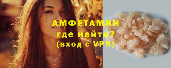 шишки Лабытнанги