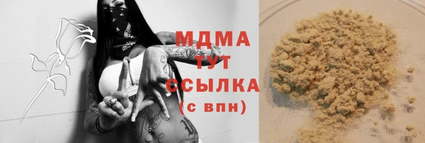 шишки Лабытнанги
