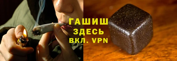 шишки Лабытнанги