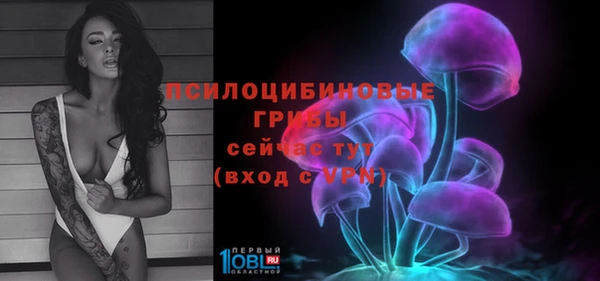 шишки Лабытнанги