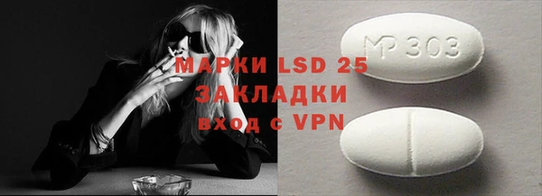 шишки Лабытнанги