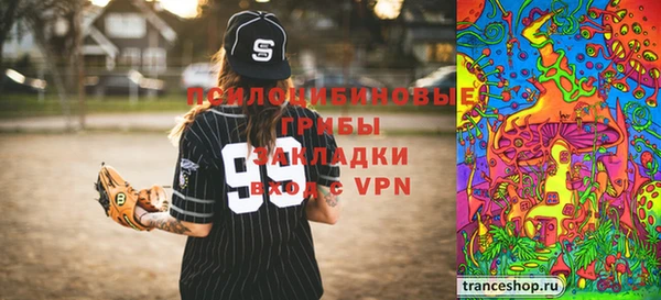 шишки Лабытнанги