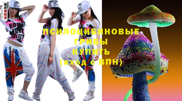 шишки Лабытнанги