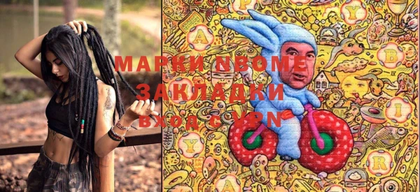шишки Лабытнанги