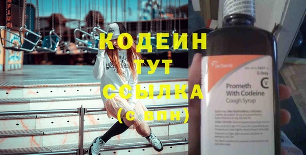 шишки Лабытнанги