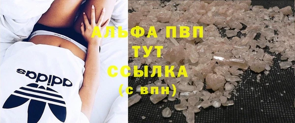 спиды Магас