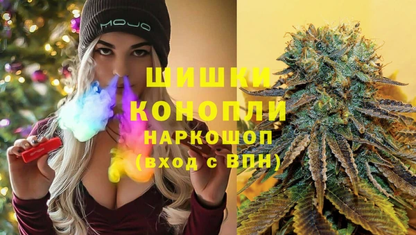 шишки Лабытнанги