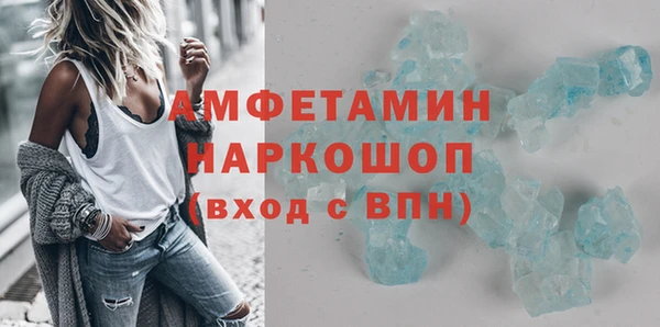 шишки Лабытнанги