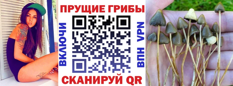 Псилоцибиновые грибы ЛСД  Купить где  Ивдель 
